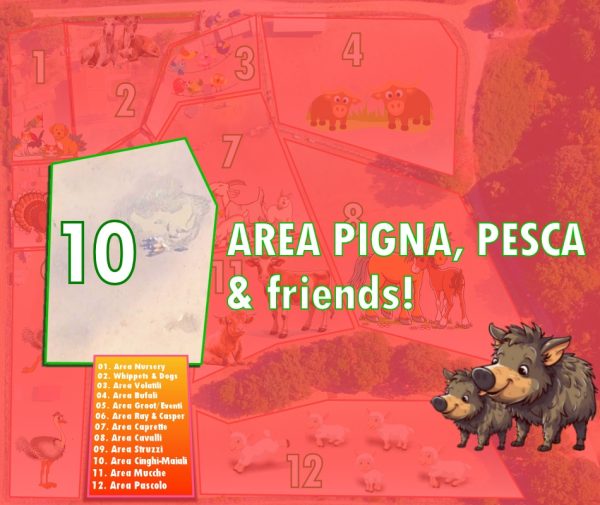 Area 10 - Pigna, Pesca & Friends