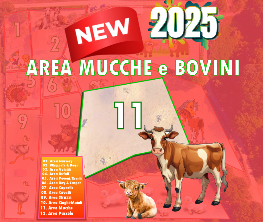 Area 11 - Mucche e Bovini