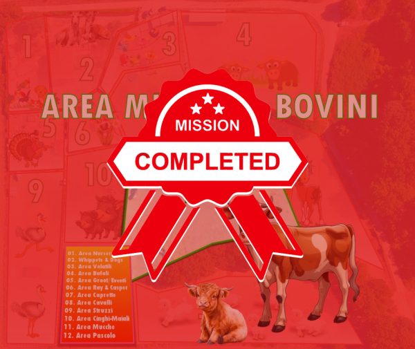 Area 11 - Mucche e Bovini