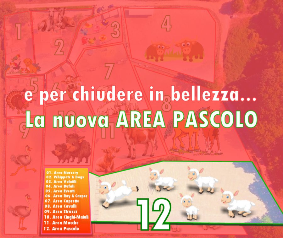Area 12 - Area pascolo