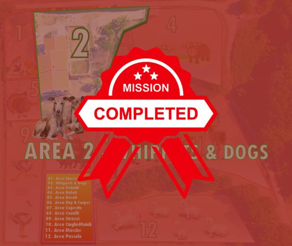 Area 2 - Whippets & Dogs
