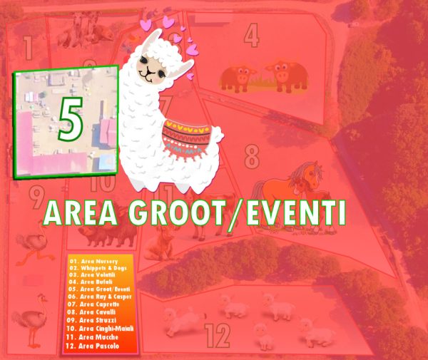 Area 5 - Area Pavoni / Eventi