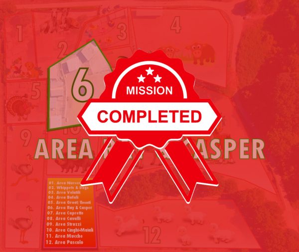 Area 6 - Ray & Casper