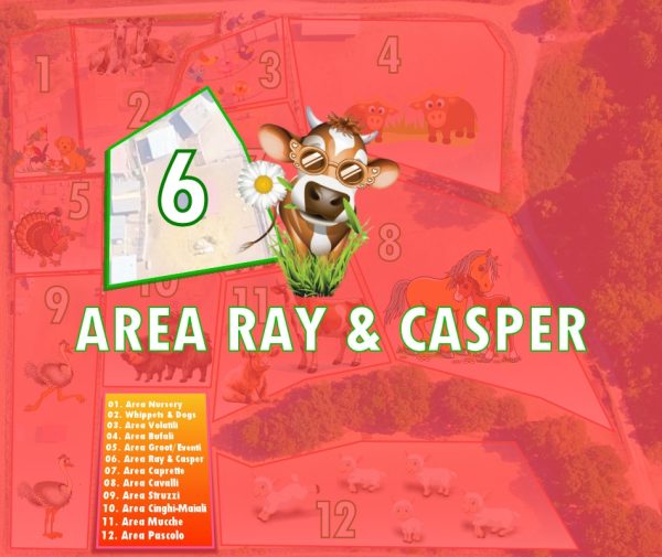 Area 6 - Ray & Casper