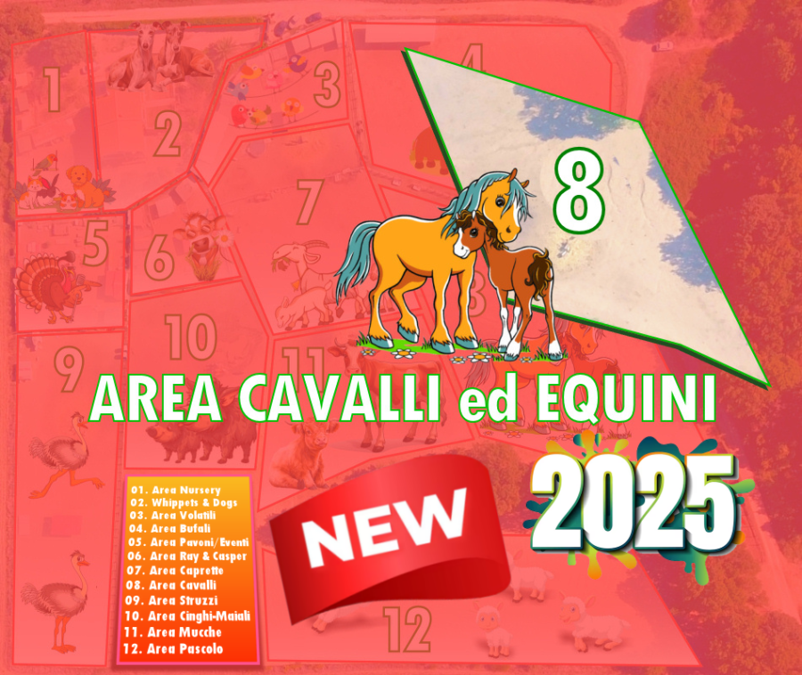 Area 8 - Cavalli e asini