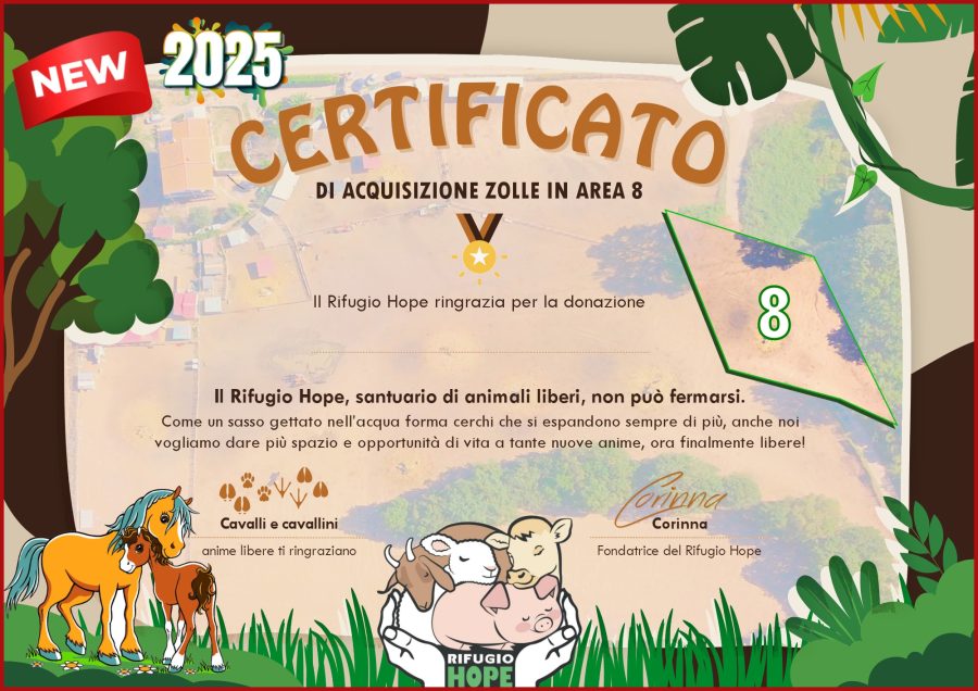 Area 8 - Cavalli e asini - immagine 2