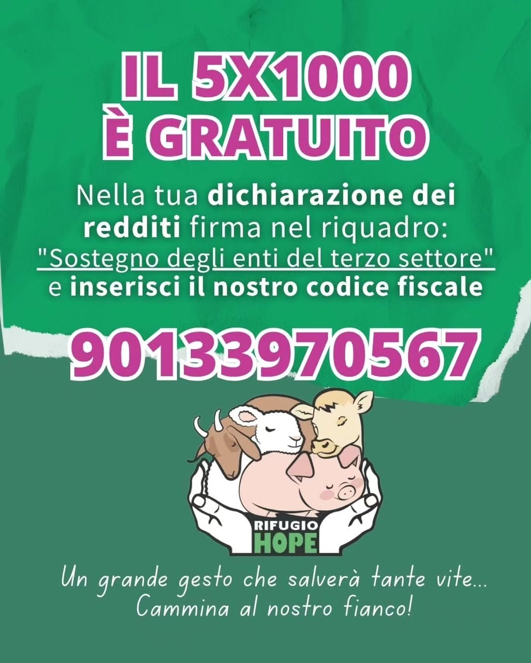 656411948_18320357668283862_7490196655537631021_n